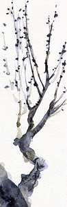 日本绘画风格的水彩背景旧树的图片