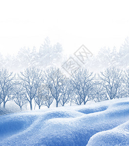 冬季森林冬天风景图片