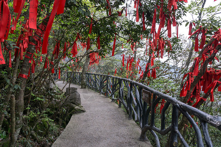 红丝带挂在山的树枝上沿潮人山道背景图片