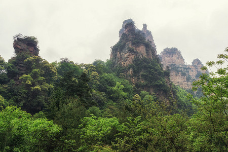 杨家界风景名胜区张家界山水景观图片