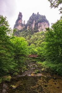 在的Yangjiajie风景区图片