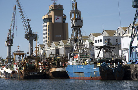南非开普敦南非开普敦港口的渔船图片