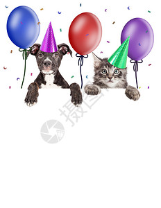 小狗和小猫挂在空白的横幅上戴着盛满气球图片