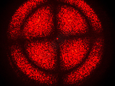 非线光学晶体的红色激光交叉双折射图案通过偏振滤光片图片