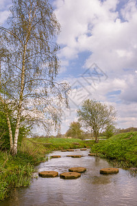 荷兰Rigge河中地貌景观背景图片