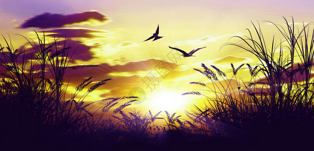 如诗画的日落景观的彩色插图图片