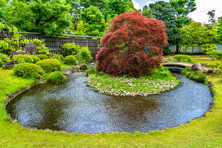 日本喜济寺的日本传统花园K图片