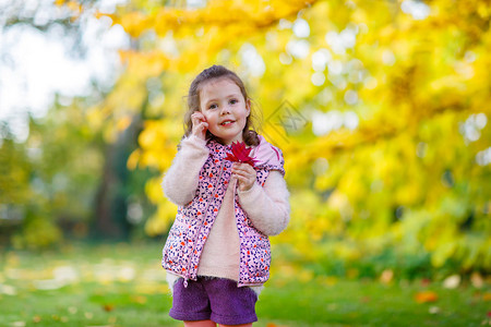 在美丽的秋天公园的小女孩图片