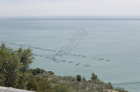 二地中海大面积水产背景图片