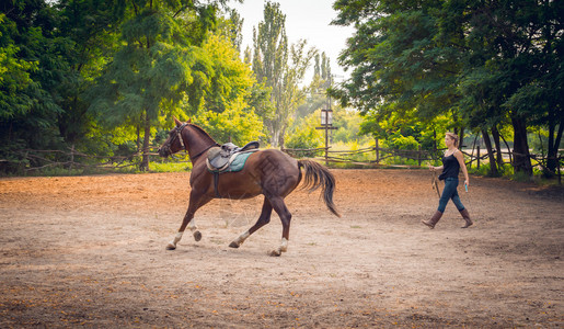年轻女孩骑马在竞技场赛马骑马友谊信任和伙图片