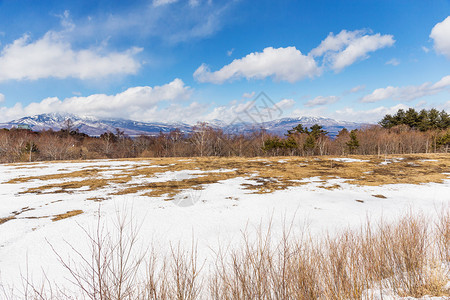 与雪的美好的冬天风景图片