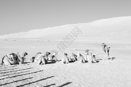 在奥曼荒无人烟的沙漠中一图片素材