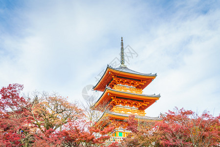 日本京都清水寺的美丽建筑图片