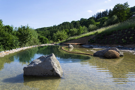天然游泳池通过滤器和植物净化无图片