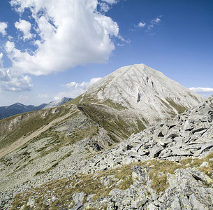 保加利亚皮林山的维图片