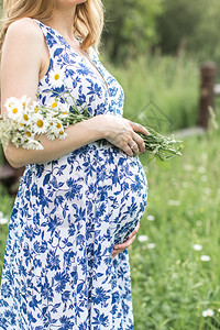 孕妇的肚子图片