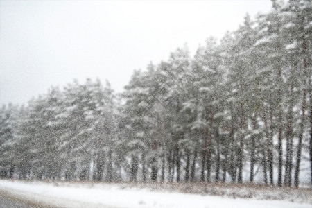冰冻的森林冬季风景雪覆盖着树木图片