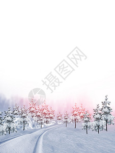 冬季森林白雪覆盖的树木图片