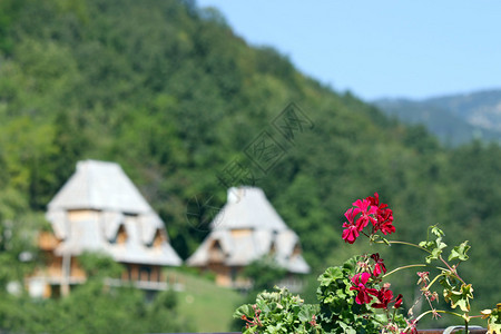 鲜花和小屋山风景图片