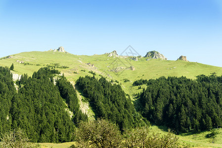 土耳其黑海区域Kackar山高原上卡图片