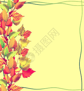 五颜六色的秋叶来自茎金莲花的框架图片