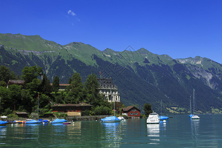 瑞士的绿色因特拉肯湖图片