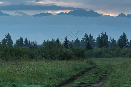 山中日出时穿过草地的道路背景图片