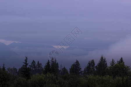 背景中的森林山脉笼罩在薄雾中图片