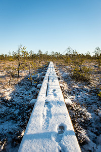 冬季在树林中漫步的旅游小道图片