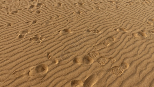 沙丘沙粒上的脚印图片