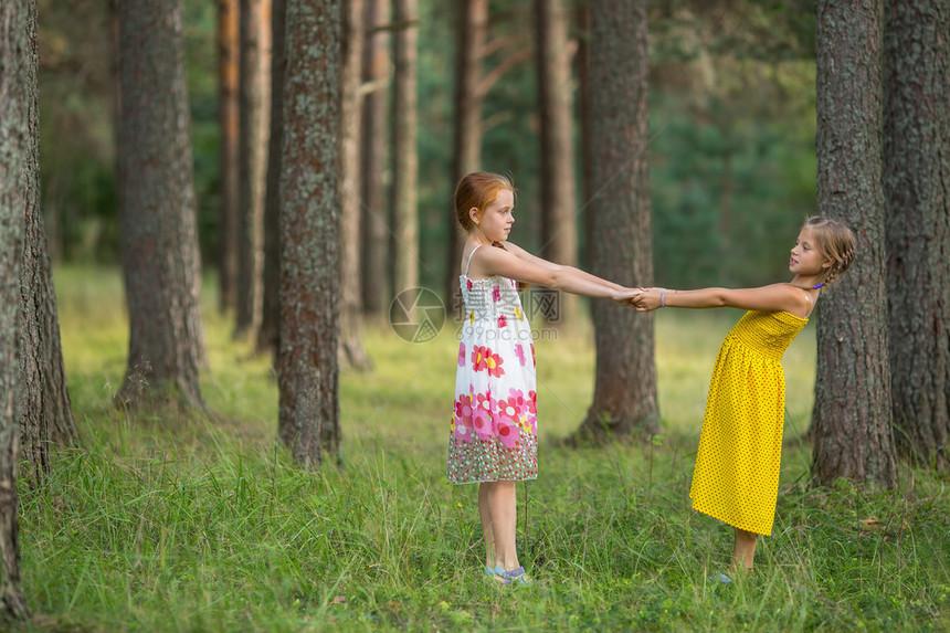 松林里牵着手的两个小女孩图片