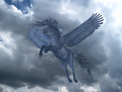 一只黑斑马骑着强大的翅膀升起飞向一片蓝图片