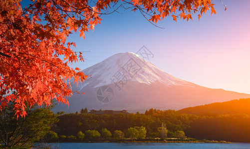 枫叶和富士山的红框图片