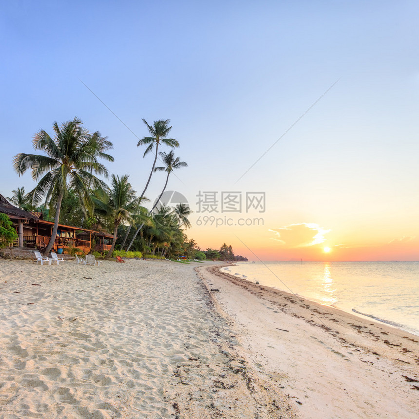 有白色沙滩和高大棕榈树的日落海滩图片