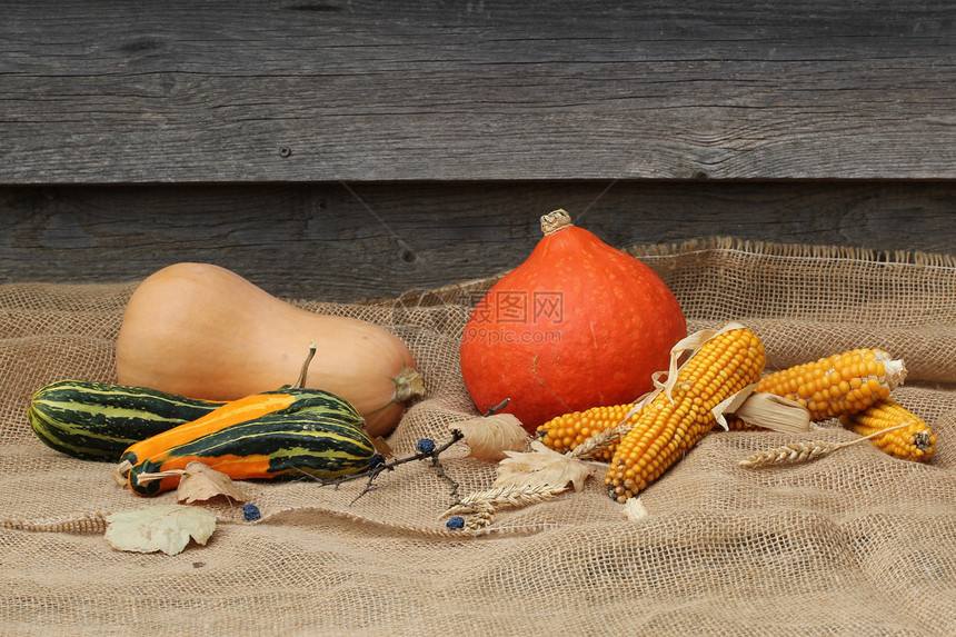 秋季静物不同的蔬菜图片