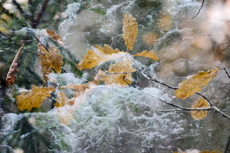抽象模糊背景自然的秋季颜色背景图片