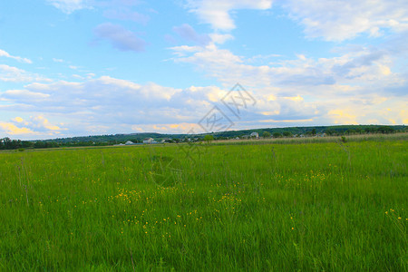 绿草地和蓝天图片