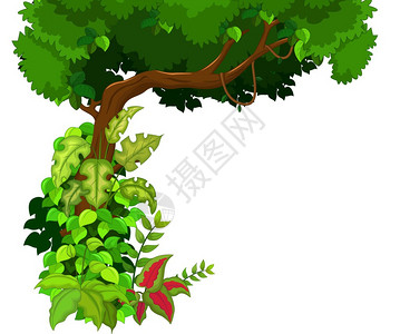 绿树背景插图图片