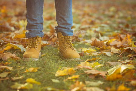 温暖的黄色靴子走在黄色的秋叶里图片