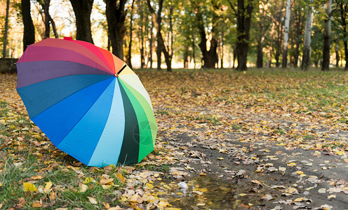 公园秋叶上的彩色雨伞图片