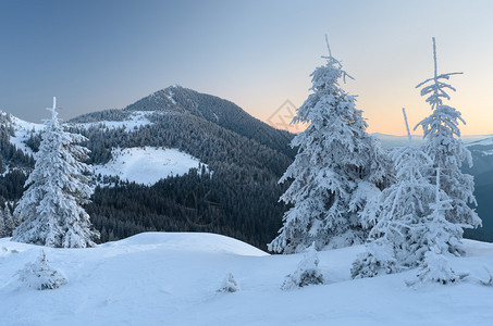 山区冬季风景山坡上的树木和森林图片