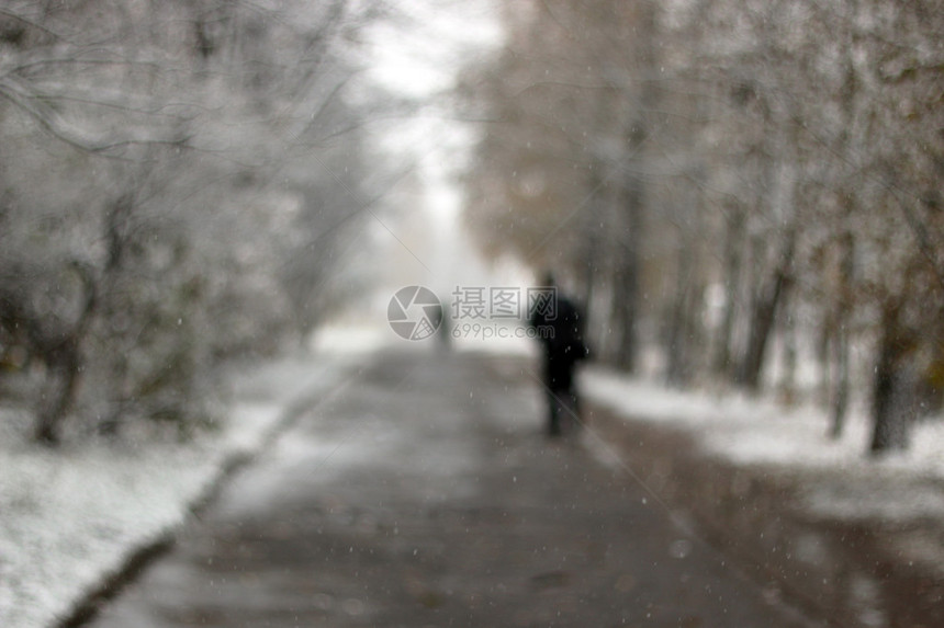 雪覆盖着树木和草坪的街道充满了各种表图片