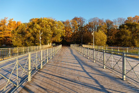 早上秋天公园的人行天桥图片