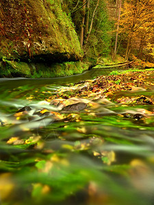 山河瀑布季节绿藻类在水中多彩的秋叶摩西巨石图片