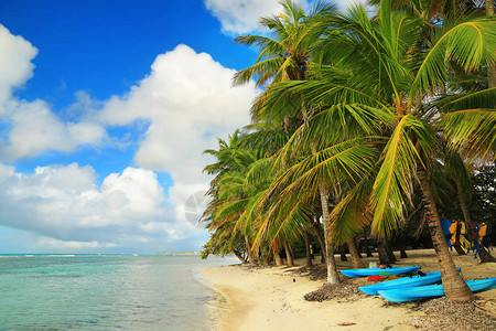 加勒比群岛瓜德罗普图片