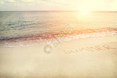 夏季古热带沙滩图片
