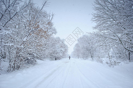 雪下的道路下雪的冬天图片