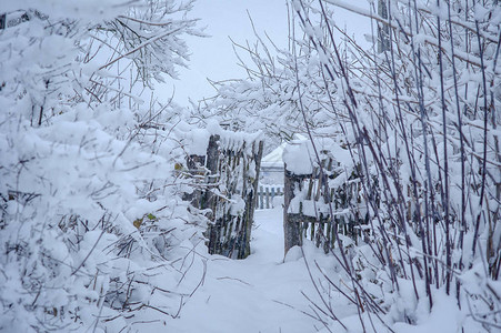 雪下的村庄下雪的冬天图片