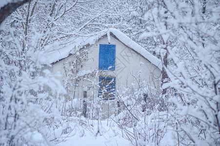 雪下的村庄下雪的冬天图片