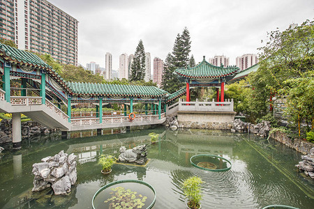 香港九龙黄太新寺天窗城天棚中神愿花园的小池背景图片